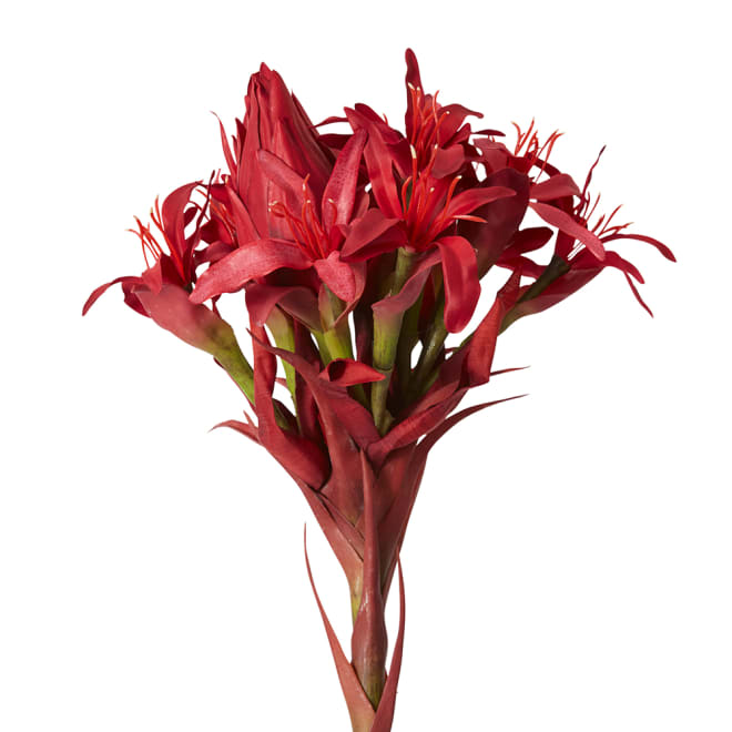 Gymea Lily Stem - 33 x 33 x 143cm 