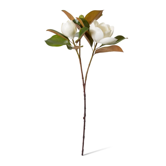 Magnolia Classic Flower & Bud - 33 x 39 x 74cm 