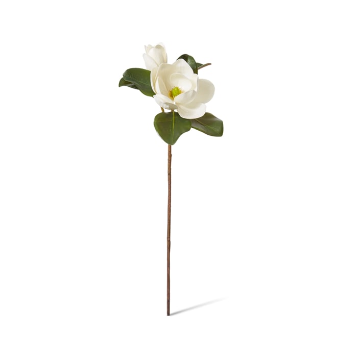 Magnolia Classic Flower Spray - 26 x 30 x 69cm 