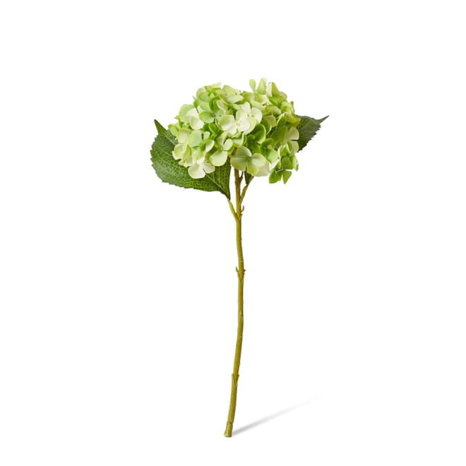 Hydrangea Garden Small Stem - 15 x 26 x 47cm color Green
