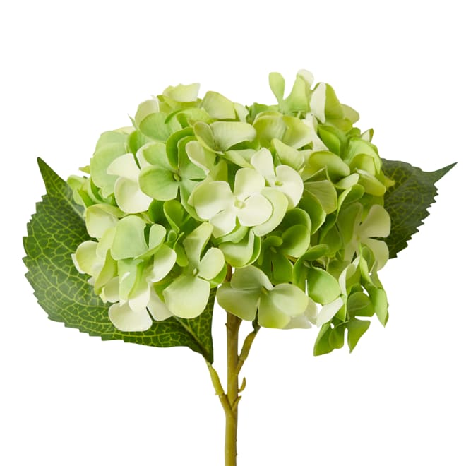 Hydrangea Garden Small Stem - 15 x 26 x 47cm color Green
