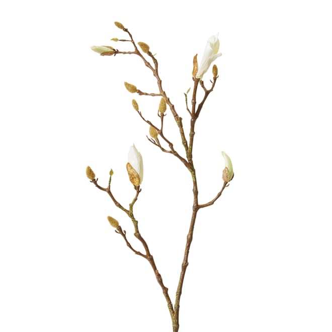 Magnolia Flowering Bud Spray - 26 x 18 x 104cm 