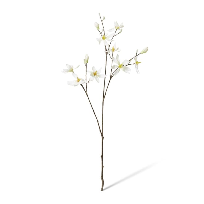 Magnolia Japanese Spray - 40 x 30 x 105cm 