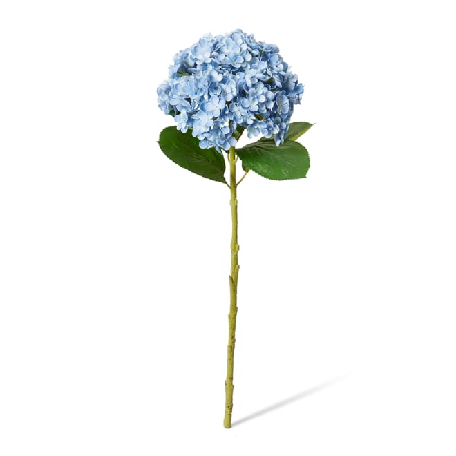 Hydrangea Stem Blue - 24 x 24 x 75cm color Blue