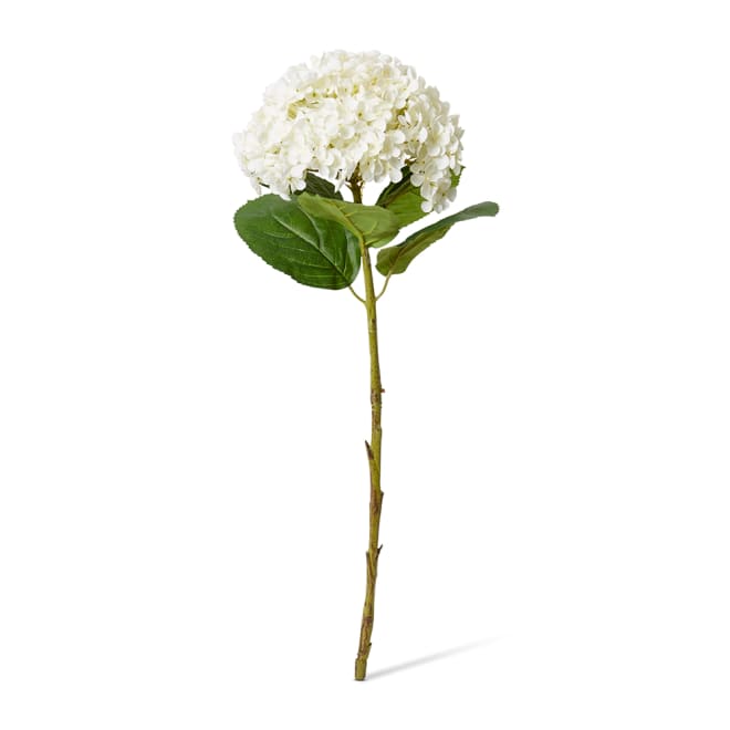 Hydrangea Stem White - 24 x 24 x 75cm color White