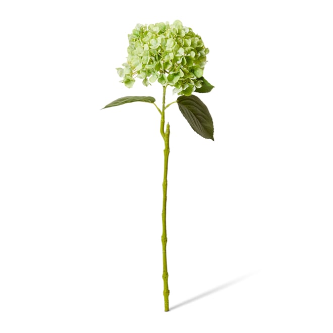 Hydrangea Bloom Stem - 25 x 20 x 60cm color Green