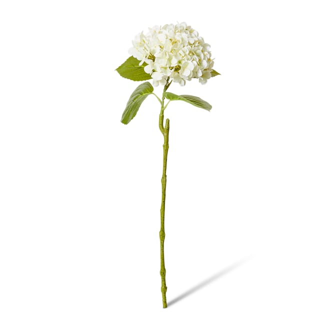 Hydrangea Bloom Stem - 25 x 20 x 60cm color White