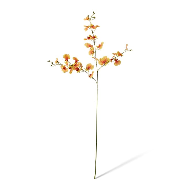 Dancing Orchid Spray  - 23 x 10 x 97cm color Orange