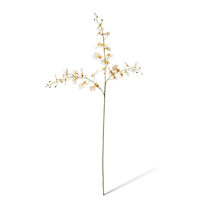 Dancing Orchid Spray - 23 x 10 x 97 cm