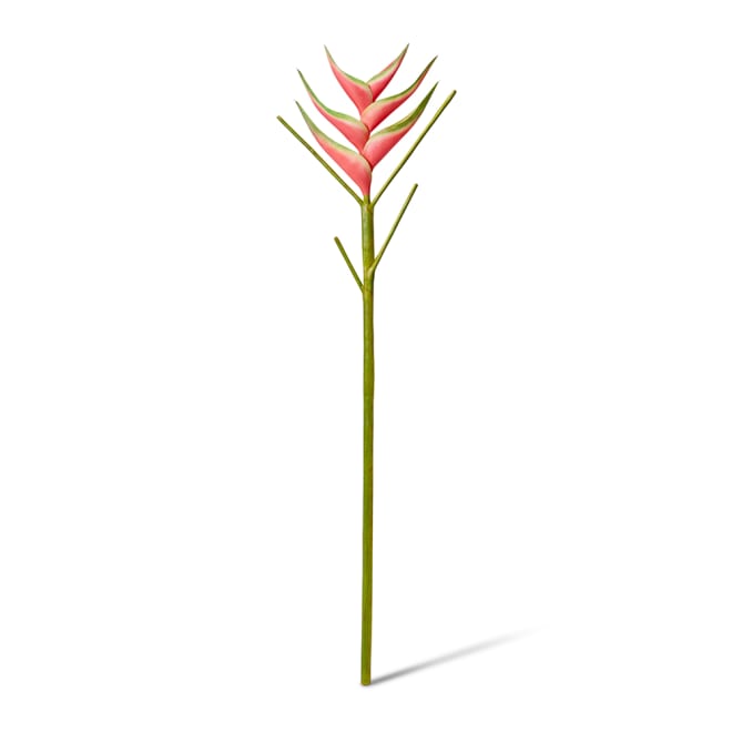 Heliconia Stem - 220 x 20 x 86cm color Green/Red