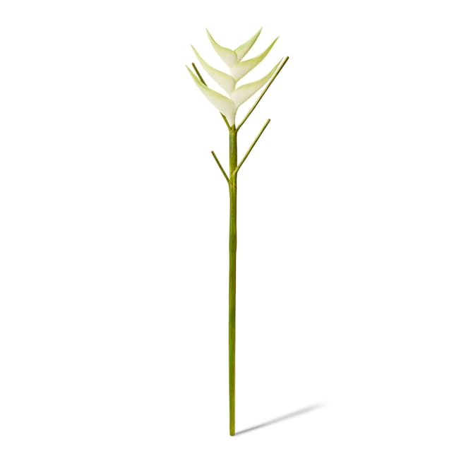 Heliconia Stem - 20 x 20 x 86cm color White/Green