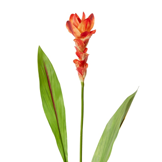 Ginger Flower Spray - 32 x 20 x 84cm color Orange