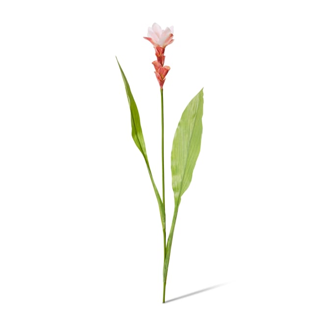 Ginger Flower Spray - 32 x 20 x 84cm color Pink