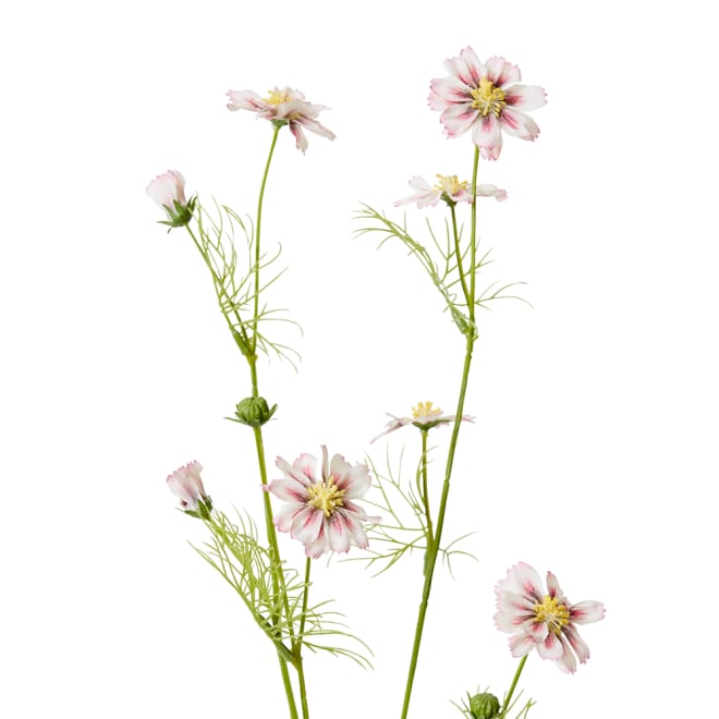 Cosmos Spray - 28 x 20 x 63cm color Pink