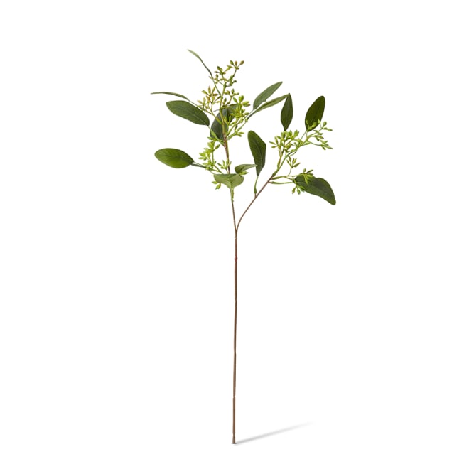 Eucy Seeding Spray Green - 21 x 21 x 48cm color Green