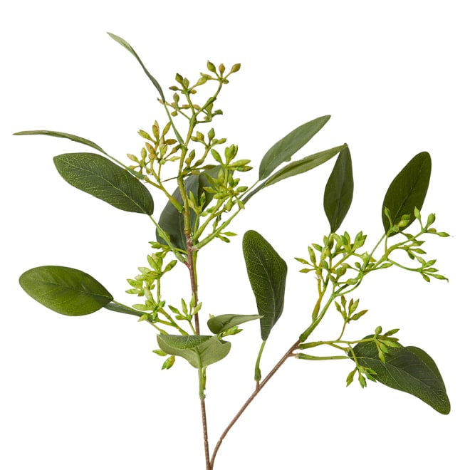 Eucy Seeding Spray Green - 21 x 21 x 48cm color Green