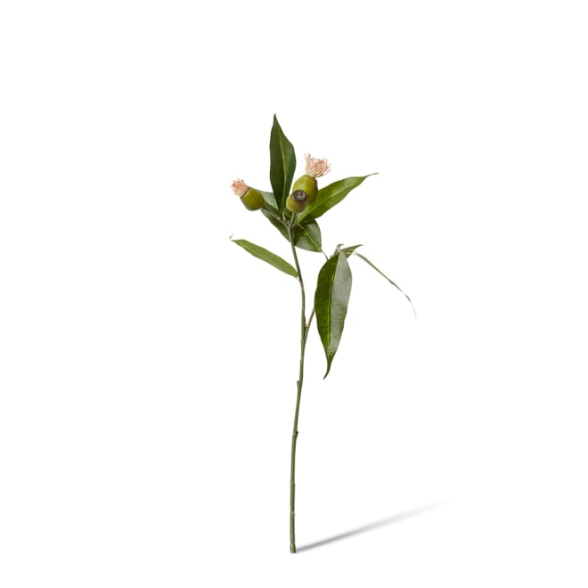 Eucy Nut Flowering Spray - 18 x 10 x 51cm color Pink/Green
