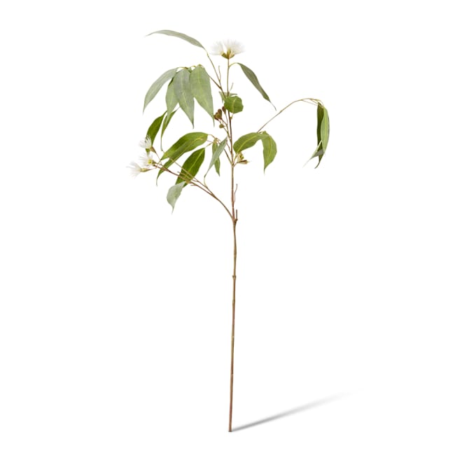 Eucalyptus Flowering Spray - 30 x 14 x 91cm color White/Green