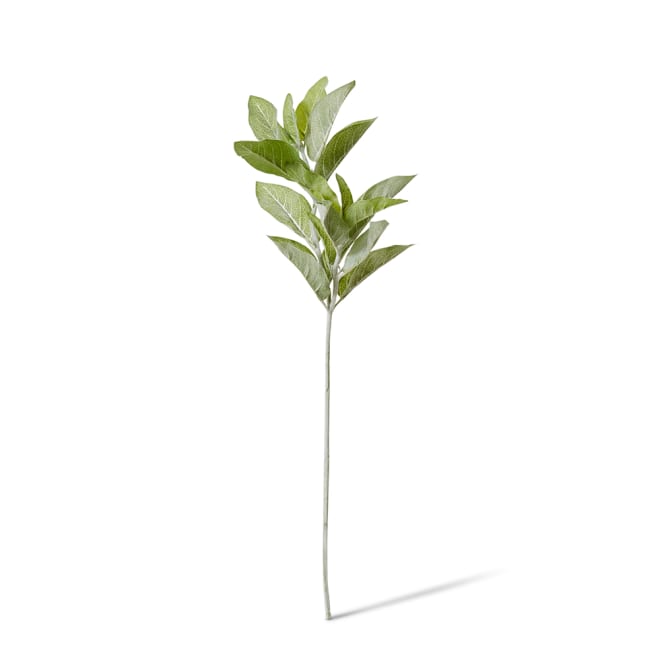 Lambs Ear Spray Grey Green - 26 x 22 x 71cm color Grey Green
