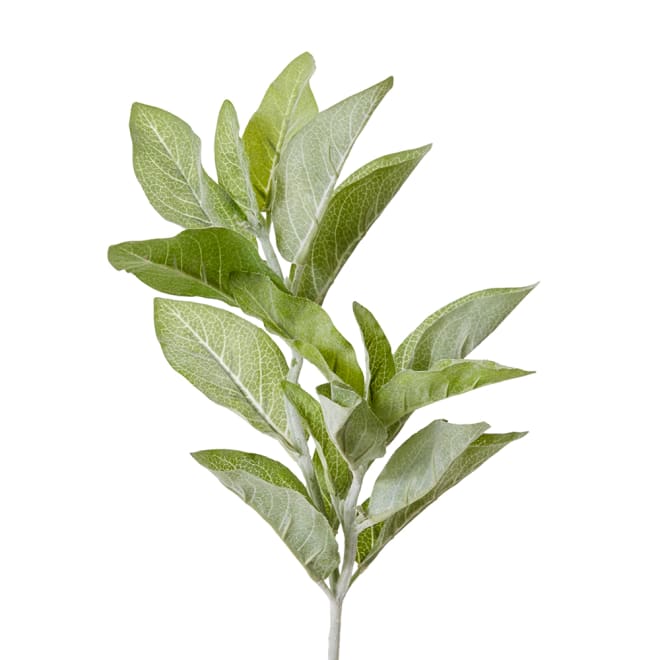 Lambs Ear Spray Grey Green - 26 x 22 x 71cm color Grey Green