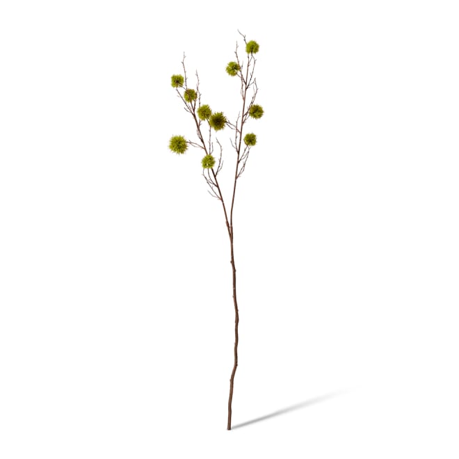 Spikey Chestnut Branch Green - 22 x 14 x 106cm color Green