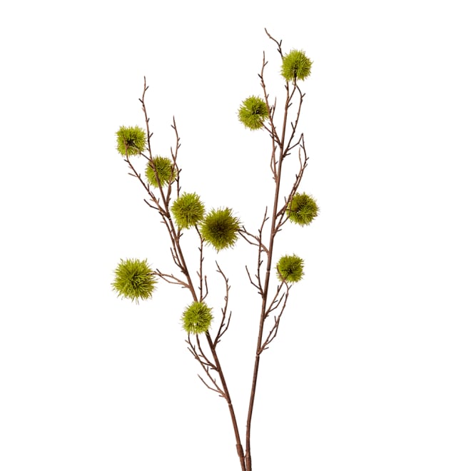 Spikey Chestnut Branch Green - 22 x 14 x 106cm color Green