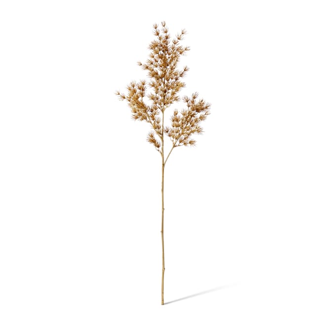 Asparagus Leaf Spray - 18 x 8 x 74cm color Beige