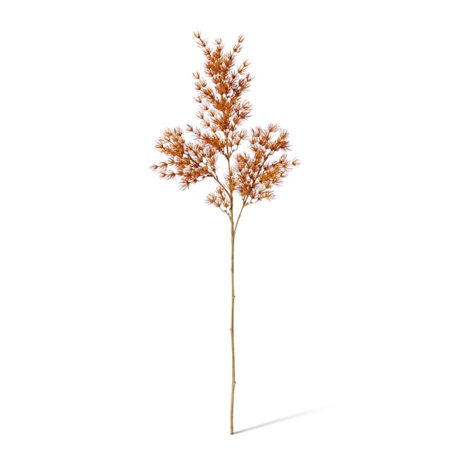 Asparagus Leaf Spray - 18 x 8 x 74cm color Rust
