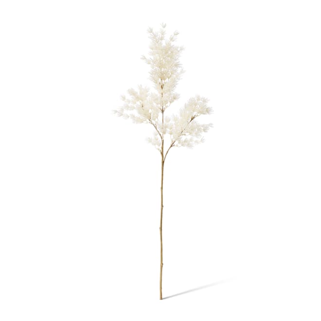 Asparagus Leaf Spray - 18 x 8 x 74cm color White