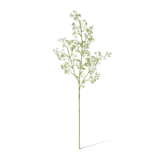 Eucalyptus Seeding Stem - 28 x 22 x 74cm