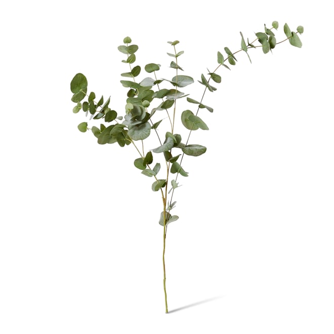 Eucalyptus Leaf Spray - 48 x 26 x 119cm color Green