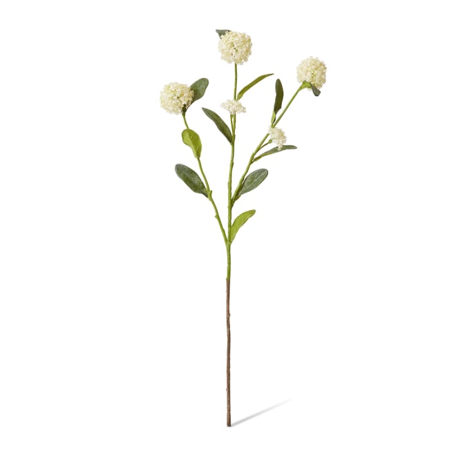 Alyssum Spray - 17 x 12 x 66 cm color White