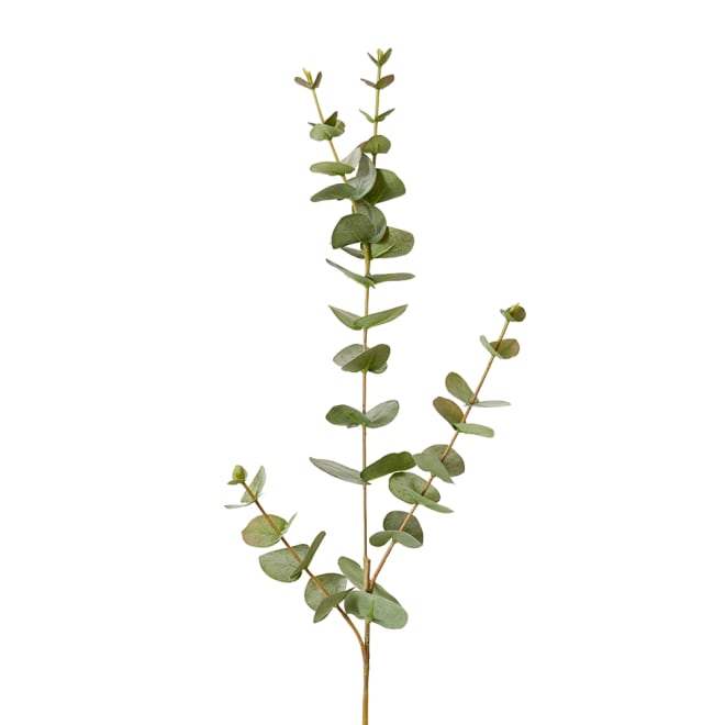 Eucalyptus Spray Grey Green - 14 x 10 x 81cm color Grey Green