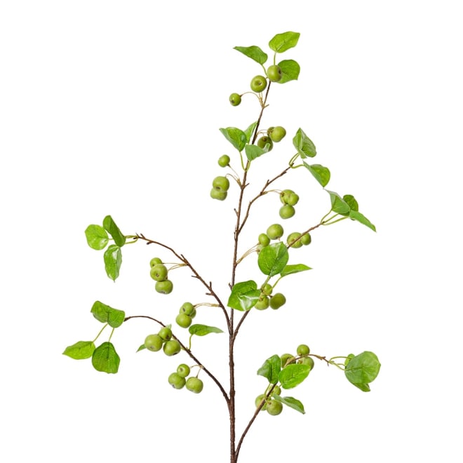 Crabapple Stem Green - 26 x 18 x 100cm color Green