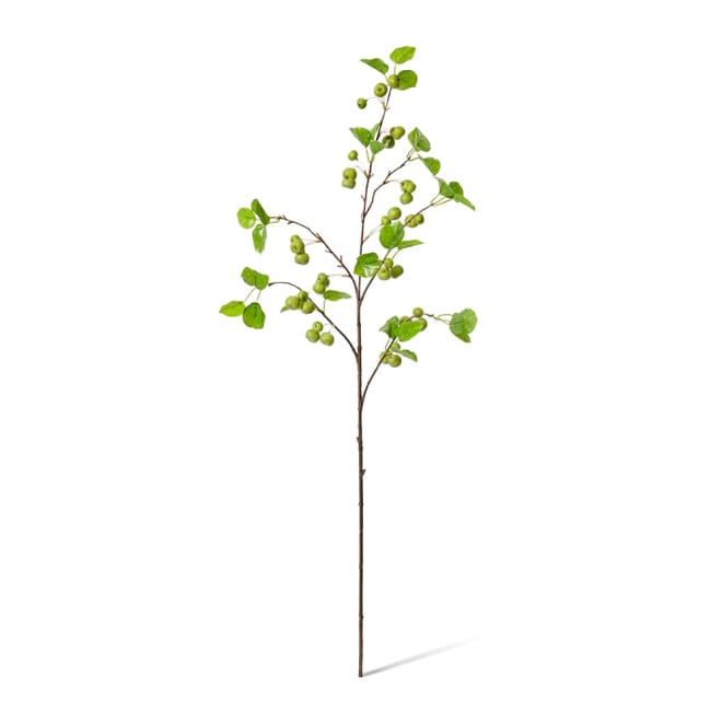 Crabapple Stem Green - 26 x 18 x 100cm color Green
