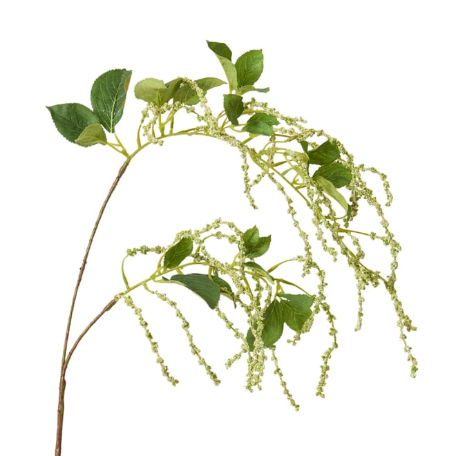 Amaranth Spring Spray Light Green - 35 x 25 x 100cm color Light Green