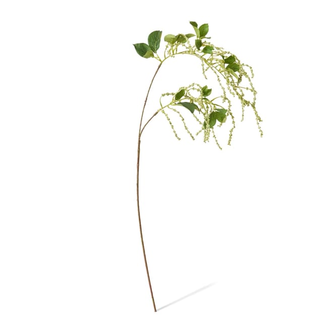 Amaranth Spring Spray Light Green - 35 x 25 x 100cm color Light Green