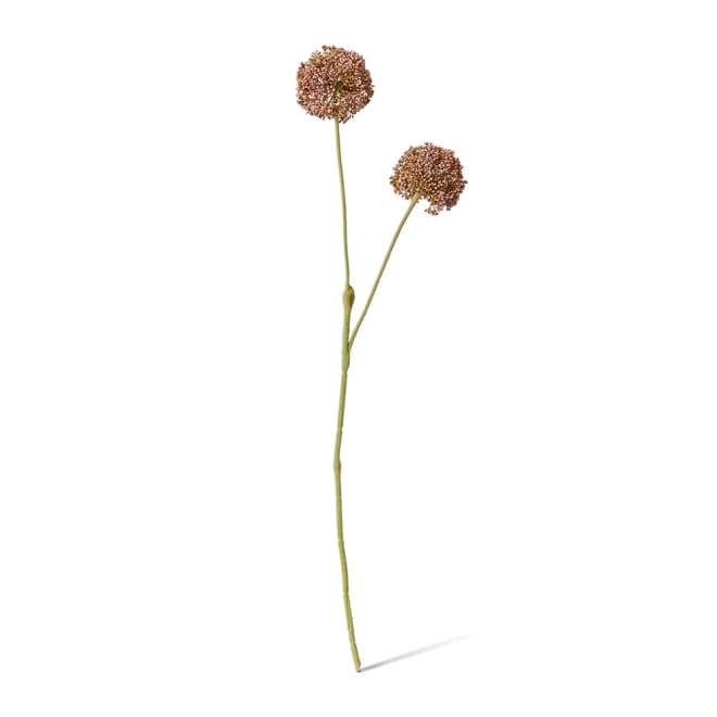 Allium Spray Mauve - 15 x 12 x 67cm color Mauve