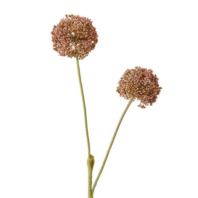 Allium Spray Mauve - 15 x 12 x 67cm color Mauve