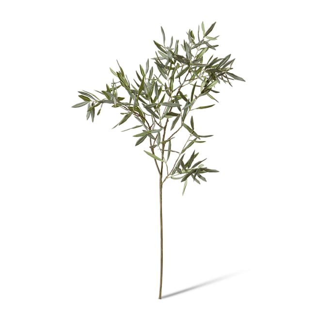 Olive Branch Grey Green - 50 x 40 x 120cm color Grey Green