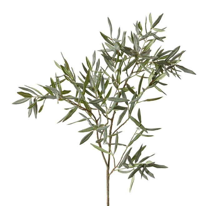 Olive Branch Grey Green - 50 x 40 x 120cm color Grey Green