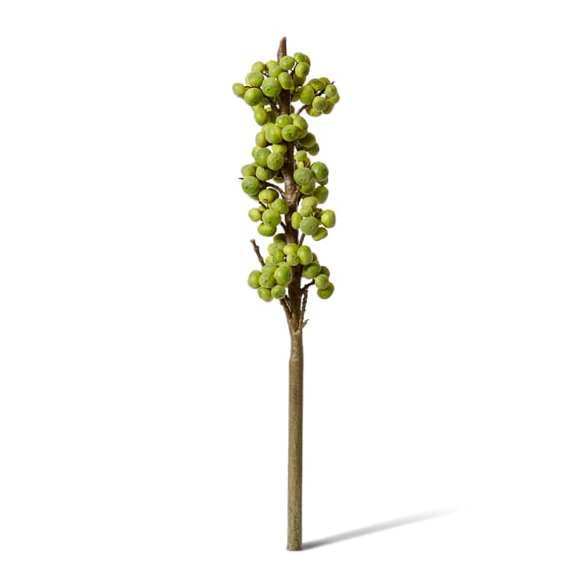 Fig Branch - 20 x 20 x 91cm 