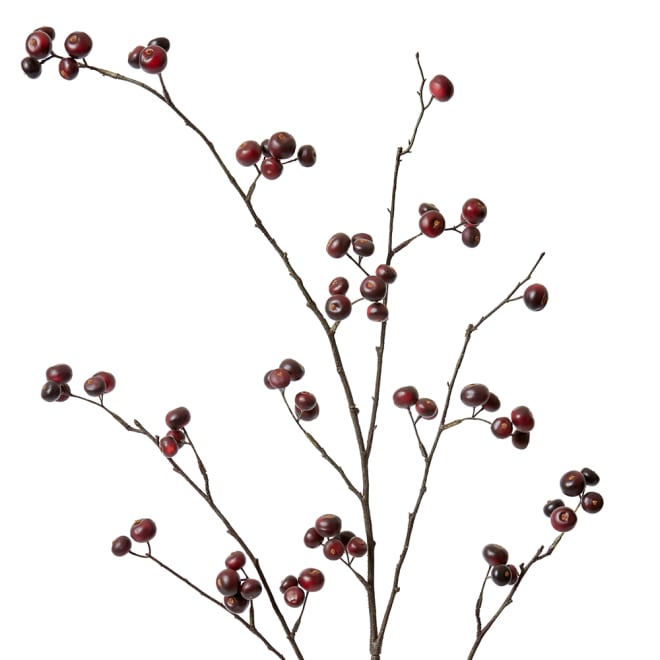 Berry Branch - 45 x 36 x 105cm color Burgundy
