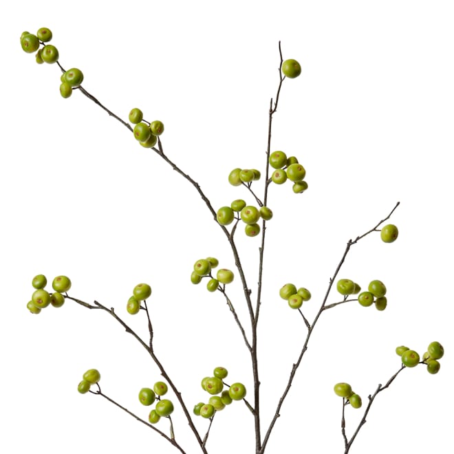 Berry Branch - 45 x 36 x 105cm color Green