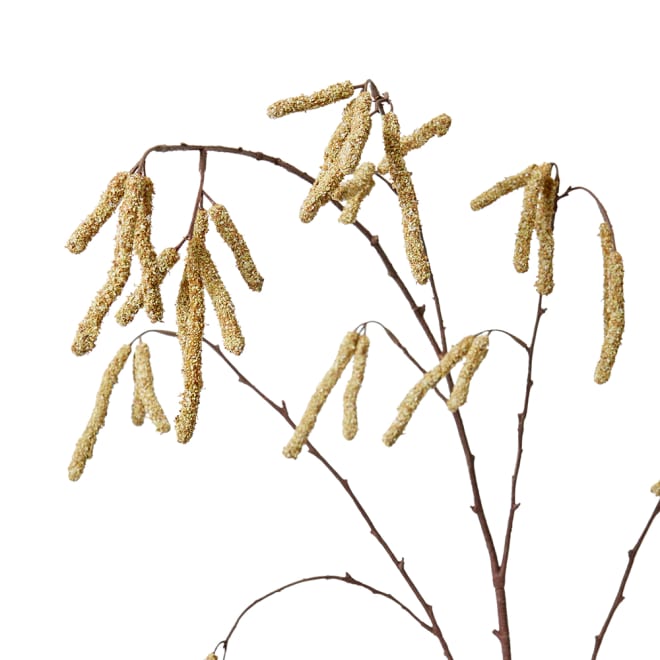 Catkins Spray - 40 x 38 x 109cm 