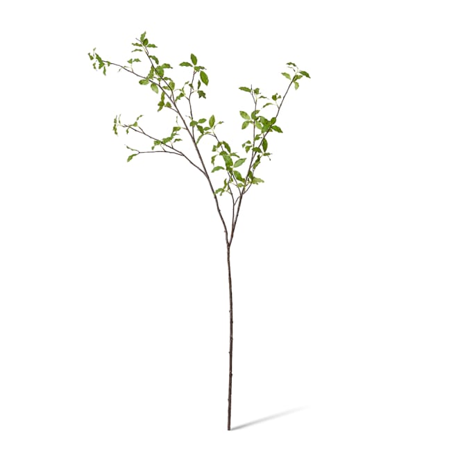 Pittosporum Leaf Branch Green - 46 x 24 x 142cm color Green
