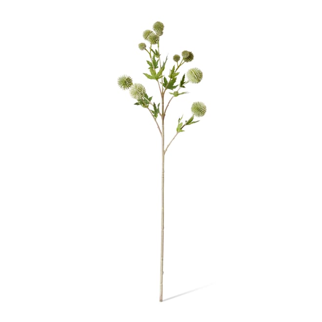 Thistle Ball Spray Grey Green - 18 x 12 x 66cm color Grey Green