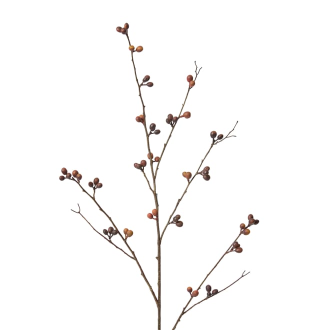 Bean Branch - 30 x 15 x 103cm color Brown