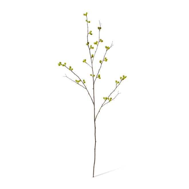 Bean Branch - 30 x 15 x 103cm color Green