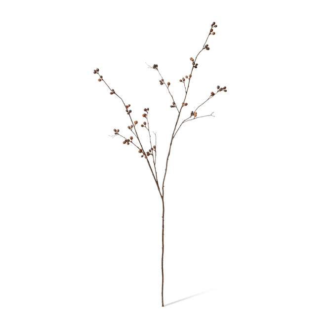 Bean Branch - 40 x 40 x 129cm color Brown